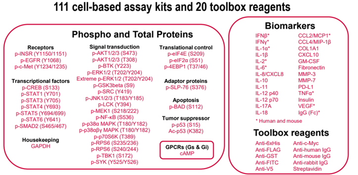kits for cell based assays 