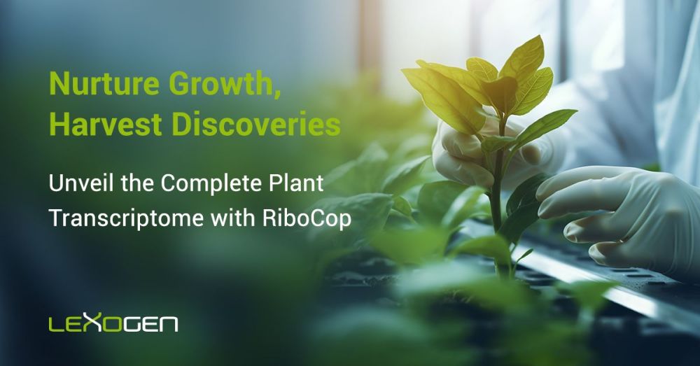 ribo depletion for plant NGS 