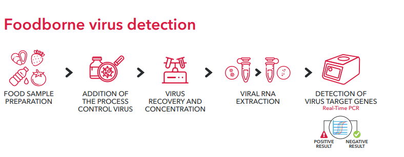 invisorb foodborne detection kits