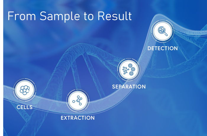 from sample to result