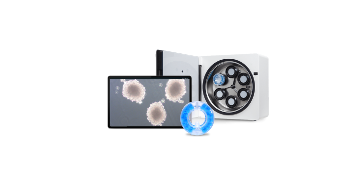 Organoid growth system that enables the growth of funcitonal and uniform organoids