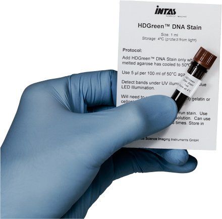 Intas HDGreen DNA Stain